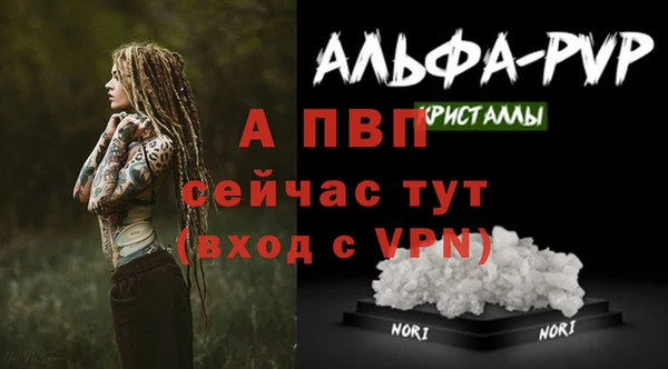 амф Абаза
